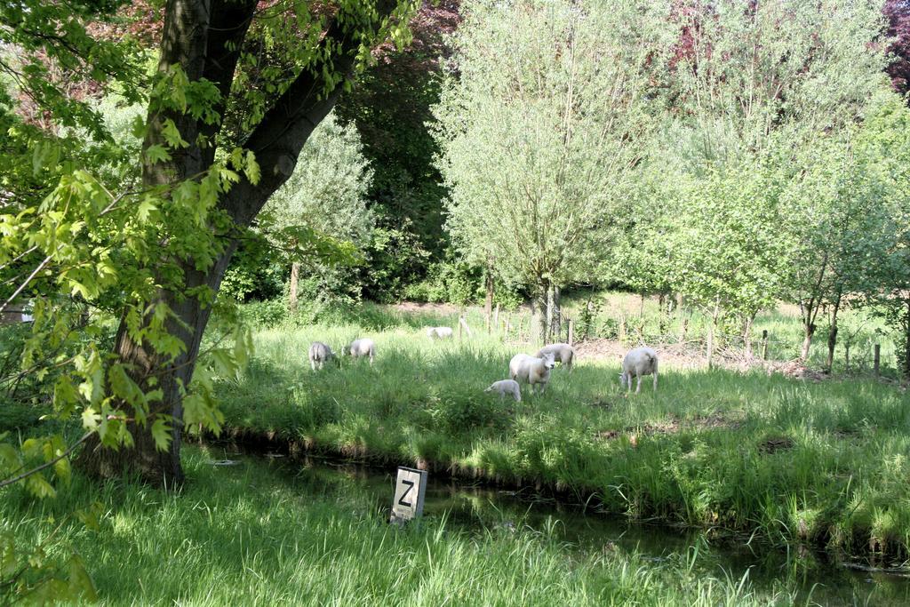 Hof 's Gravenmoer 3*