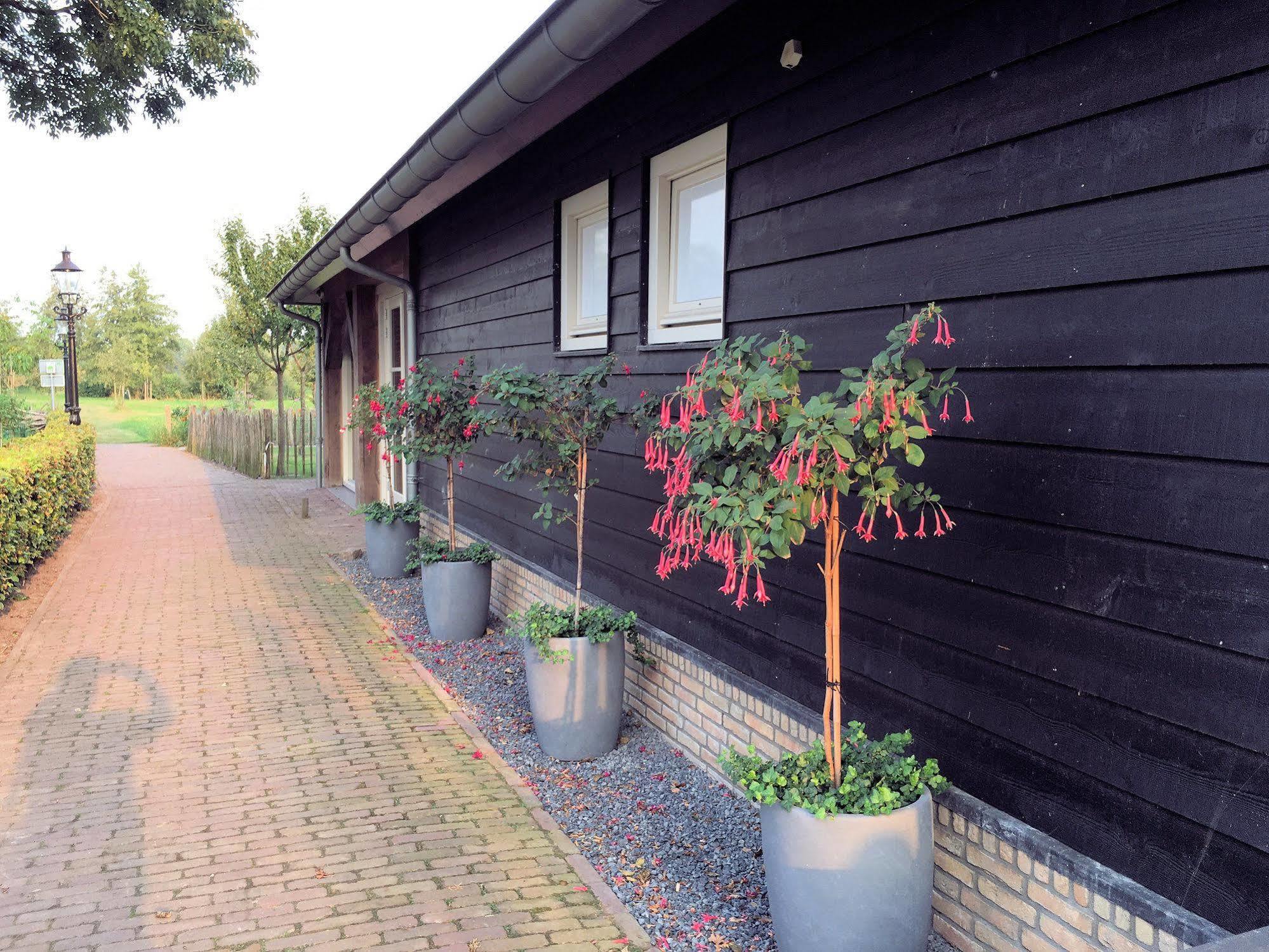 Hotel Hof 's Gravenmoer